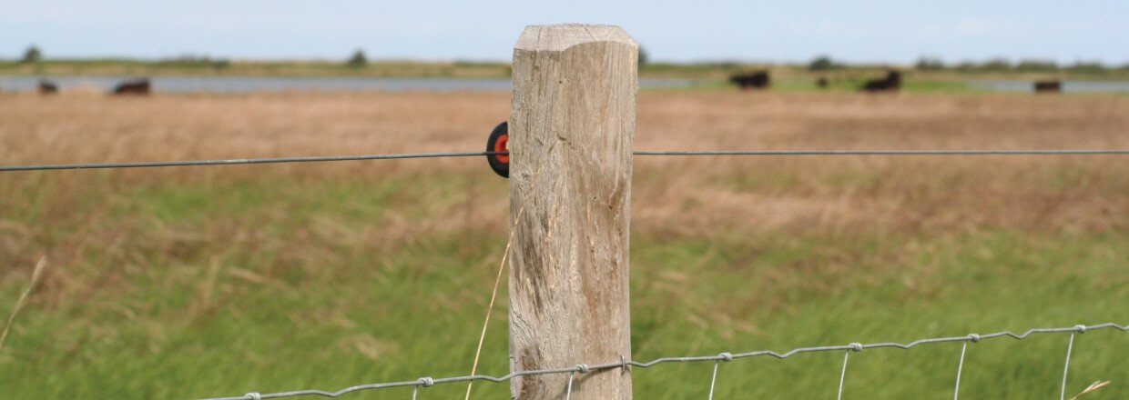 Ny mulighed for tilskud til indhegninger i Natura 2000-områder