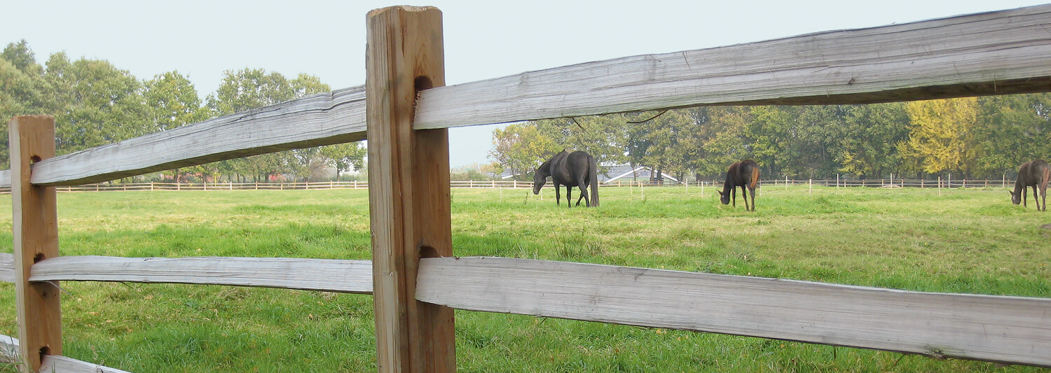 Durch die Riegeln eines rustikalen Pferdezauns sieht man drei große Pferde auf einer Weide grasen | Poda Zaun