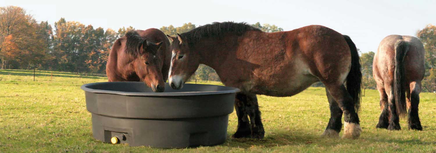 Zwei große Pferde trinken aus einer schwarzen Weidetränke | Poda Zaun