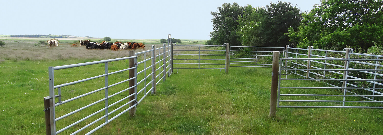 Fangefoldselementer, træpæle og stållåger udgør en perfekt, midlertidig indhegning til dit kvæg | Poda Hegn