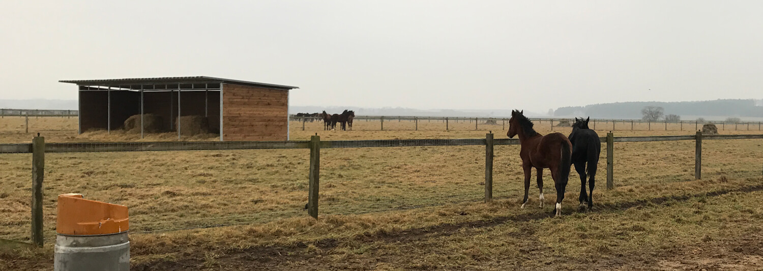 Et leskur midt i hesteinnhegningen gir ly for regn og vind til hestene i innhegningen | Poda Gjerder