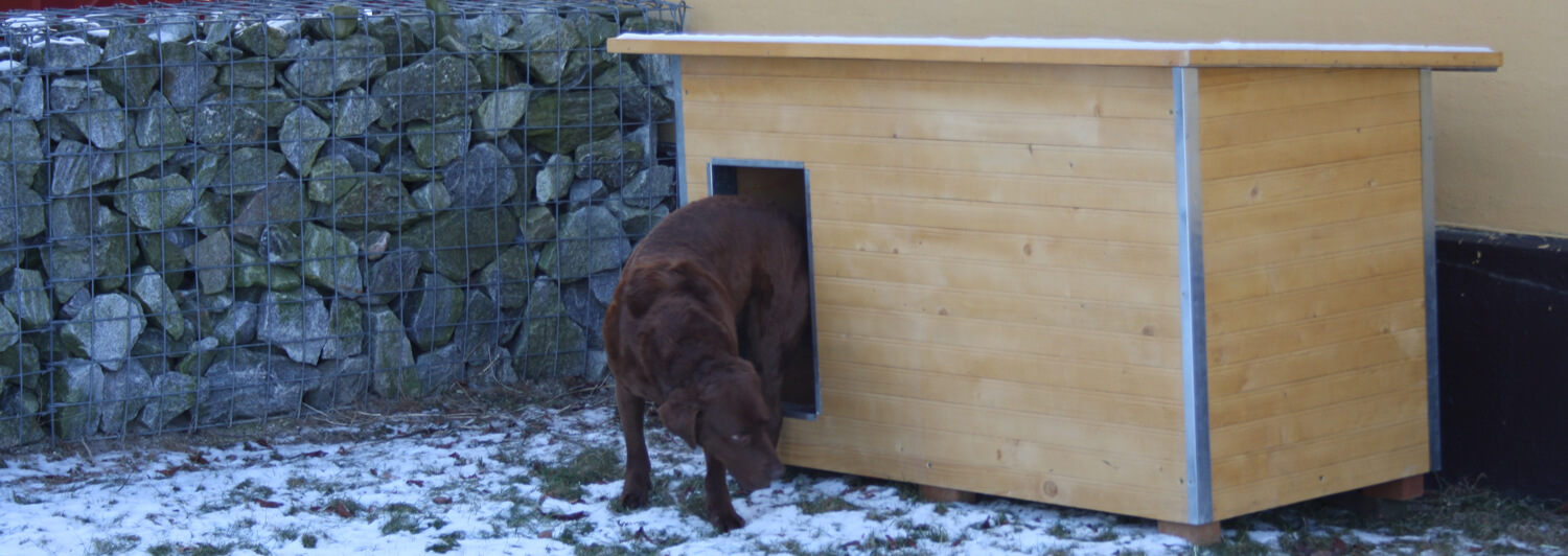 En hund är på väg ut genom dörren på sin hundkoja. Hundkojan är isolerad och tillverkad i ljust trä | Poda Stängsel