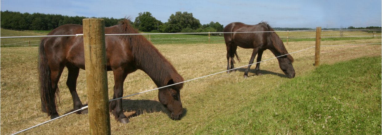 Schrikdraad voor paarden duurzaam Hippolux | Poda