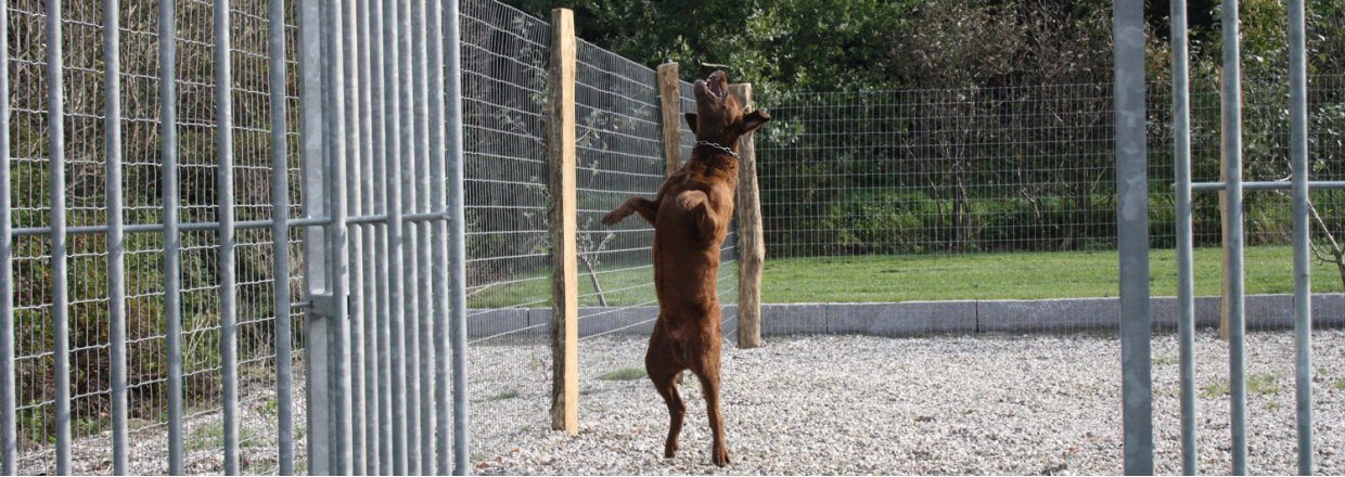 Zäune und Hütten für Hunde Poda Hundehaus Hundezaun