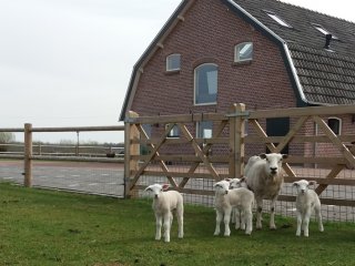 Zorgboerderij de Toekomst aan het woord