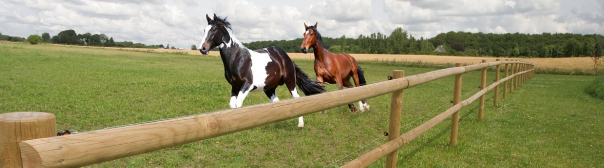 Houten omheining paarden natuurlijke barrière Poda