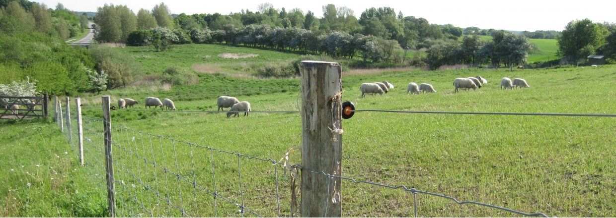 Tierhaltung Mehr als 40 Jahre Erfahrung im Zaunbau Poda Zaun