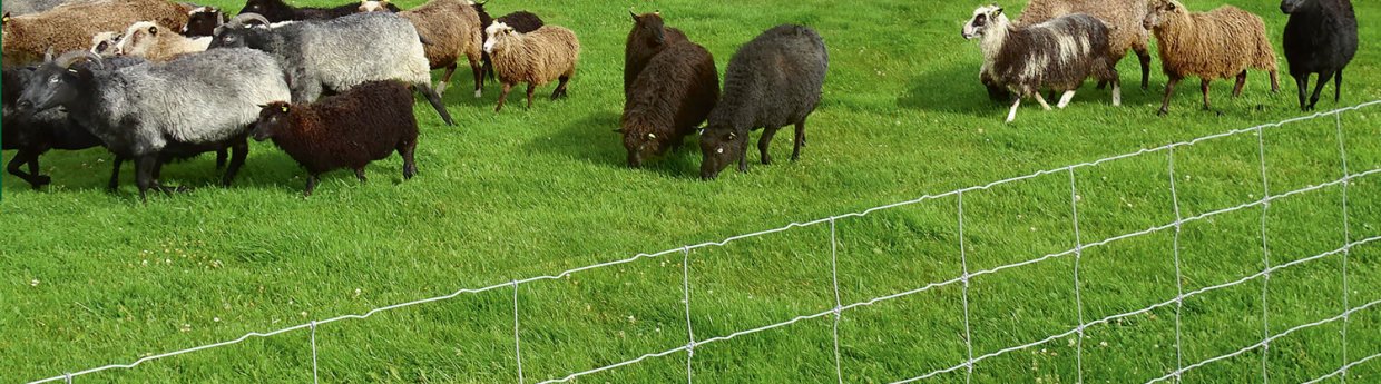 Zäune für Schafe und Ziegen Elektrozäune sind hier die 1. Wahl